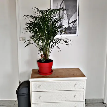 Echo Des Vagues , Vue شقة *